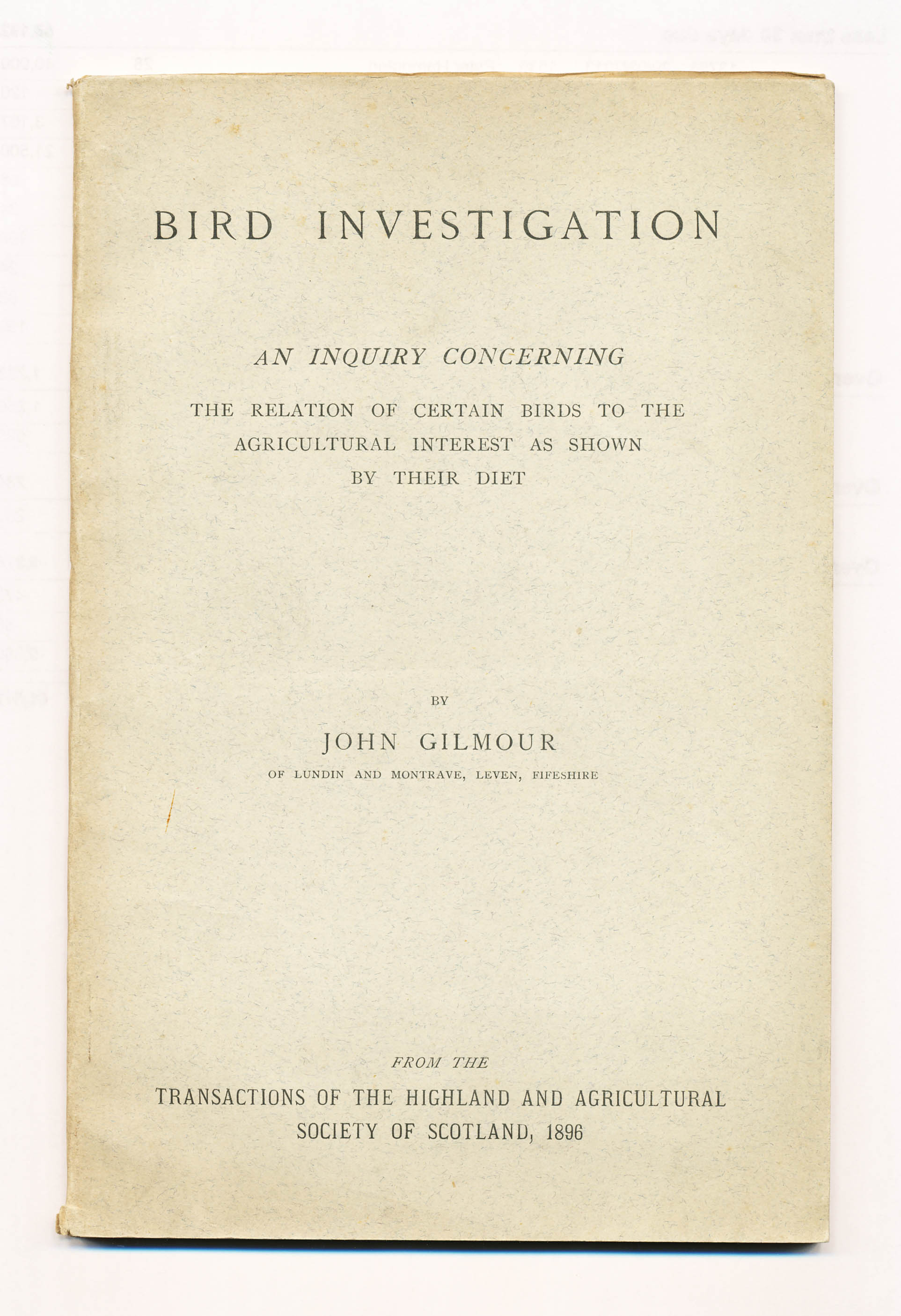 Bird Investigation - , 