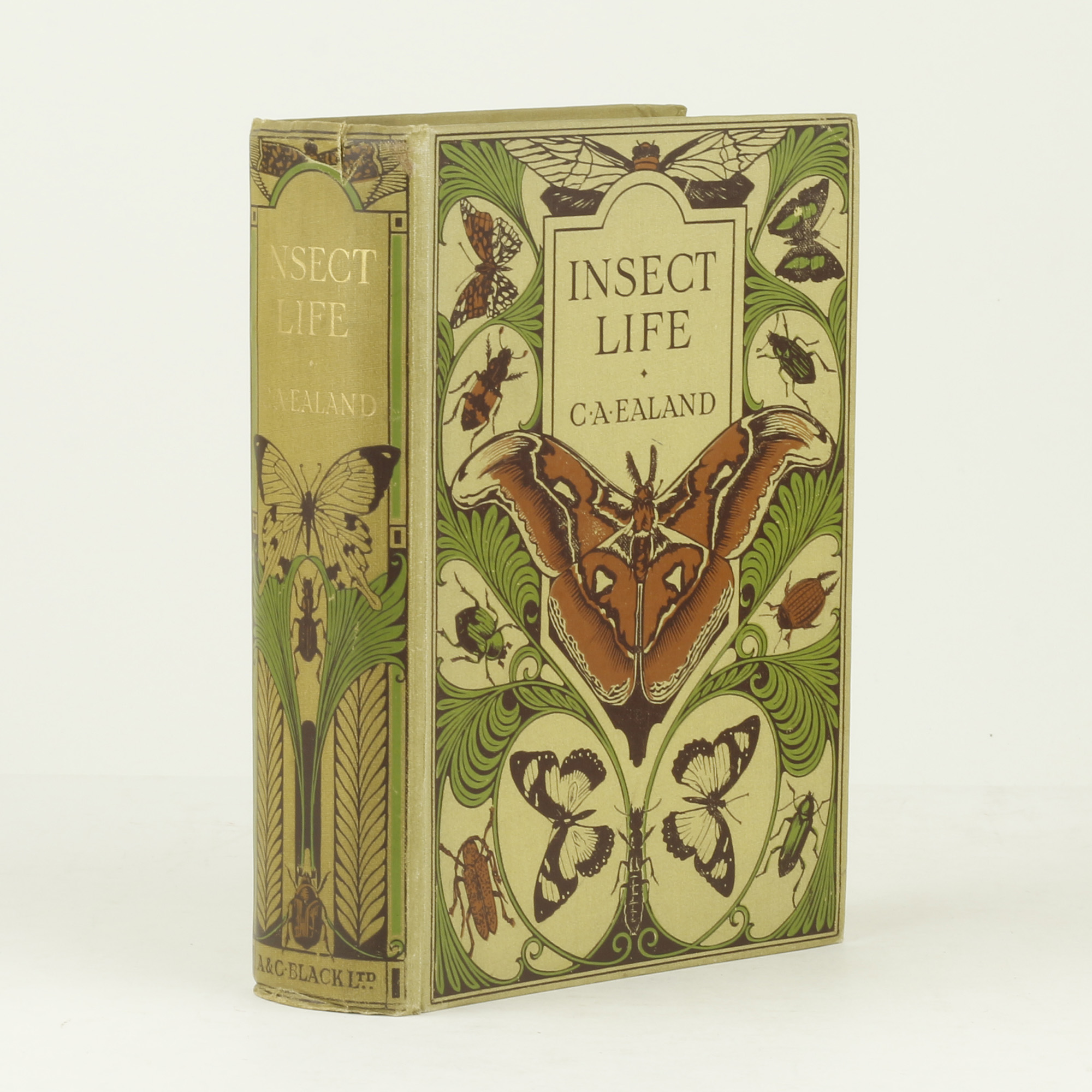 Insect Life - , 