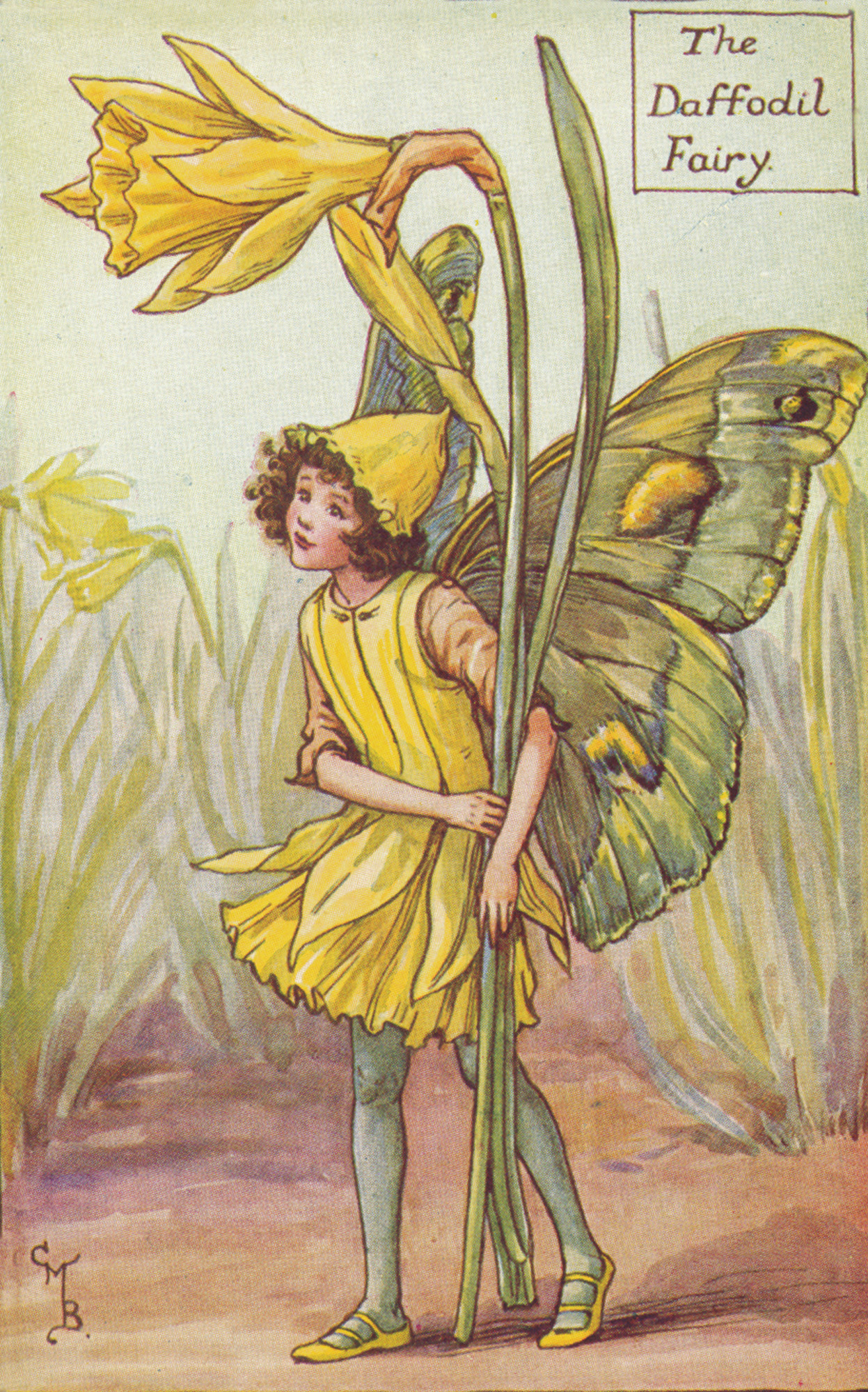 Flower Fairies Of The Spring By Barker Cicely Mary Jonkers Rare Books