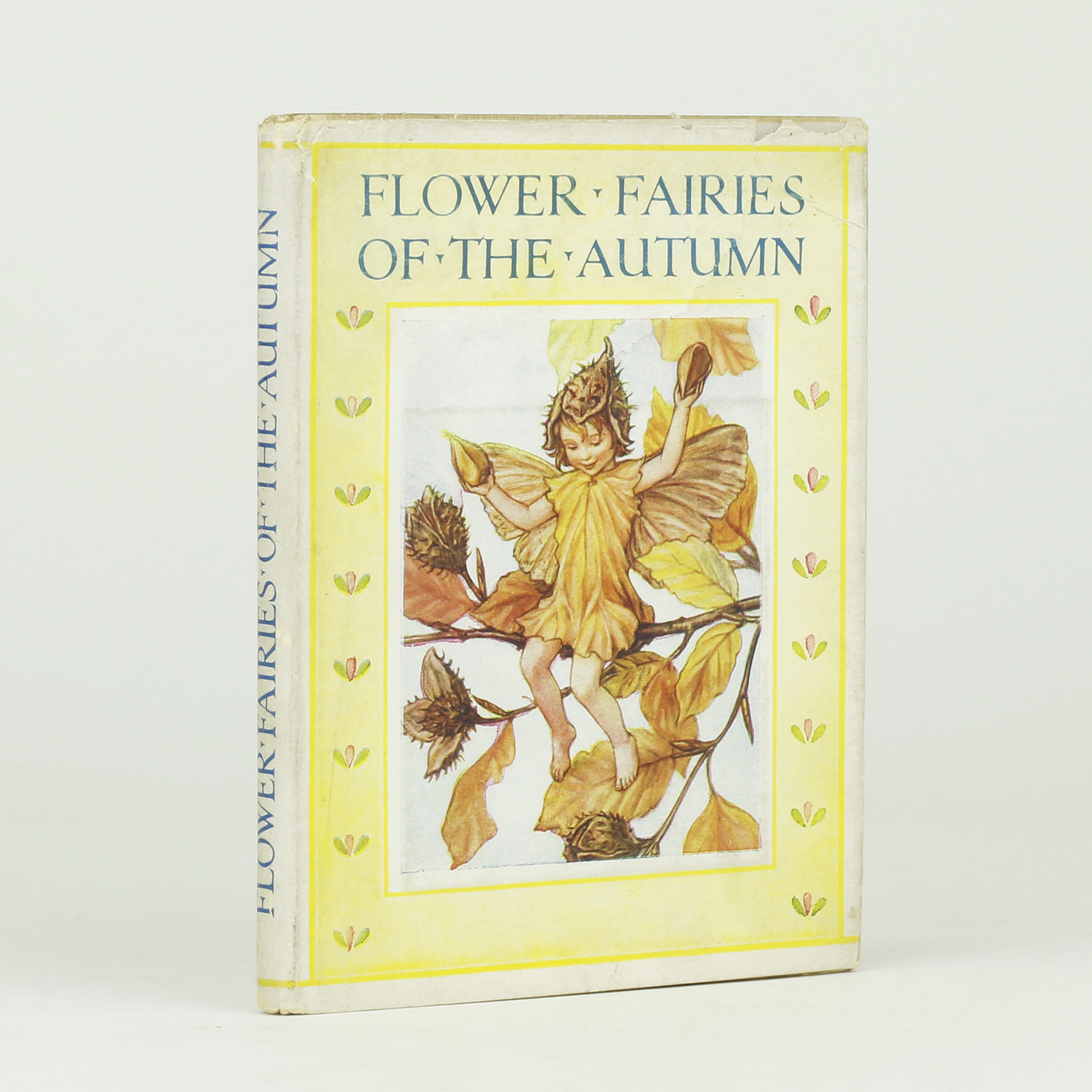 Flower Fairies of the Autumn - , 