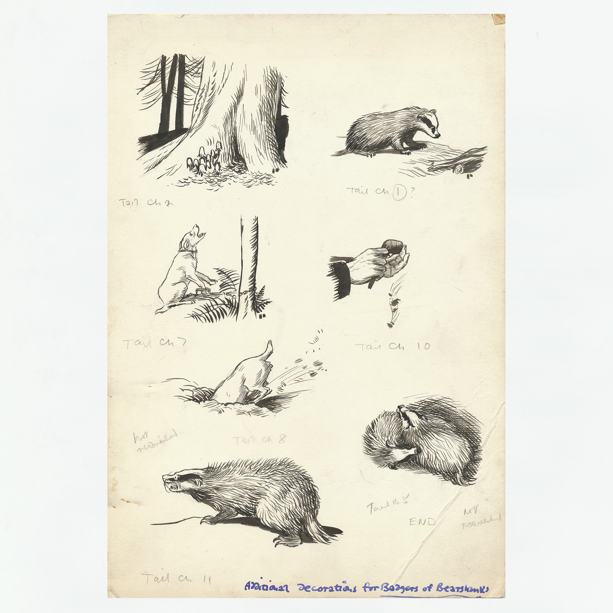Original Drawings for the Badgers of Bearshanks - , 