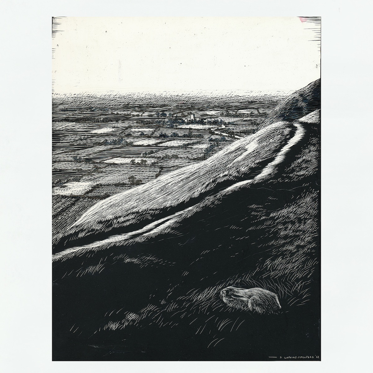 Signed Original Drawing: Lepus, the Brown Hare - , 