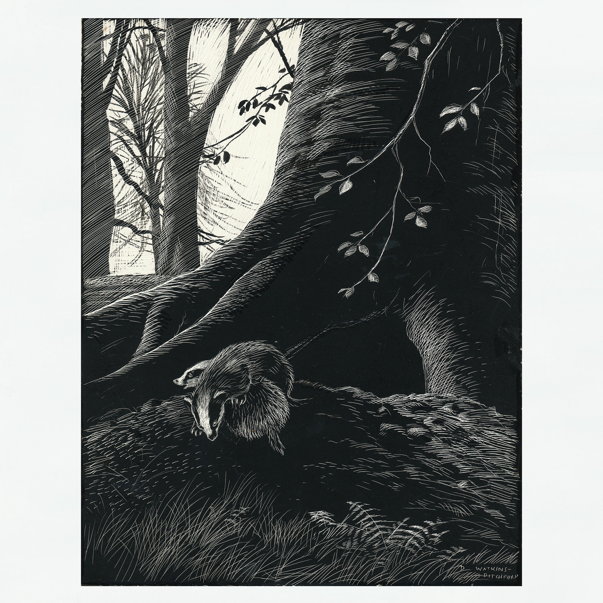 Signed Original Drawing: The Badgers of Bearshanks - , 