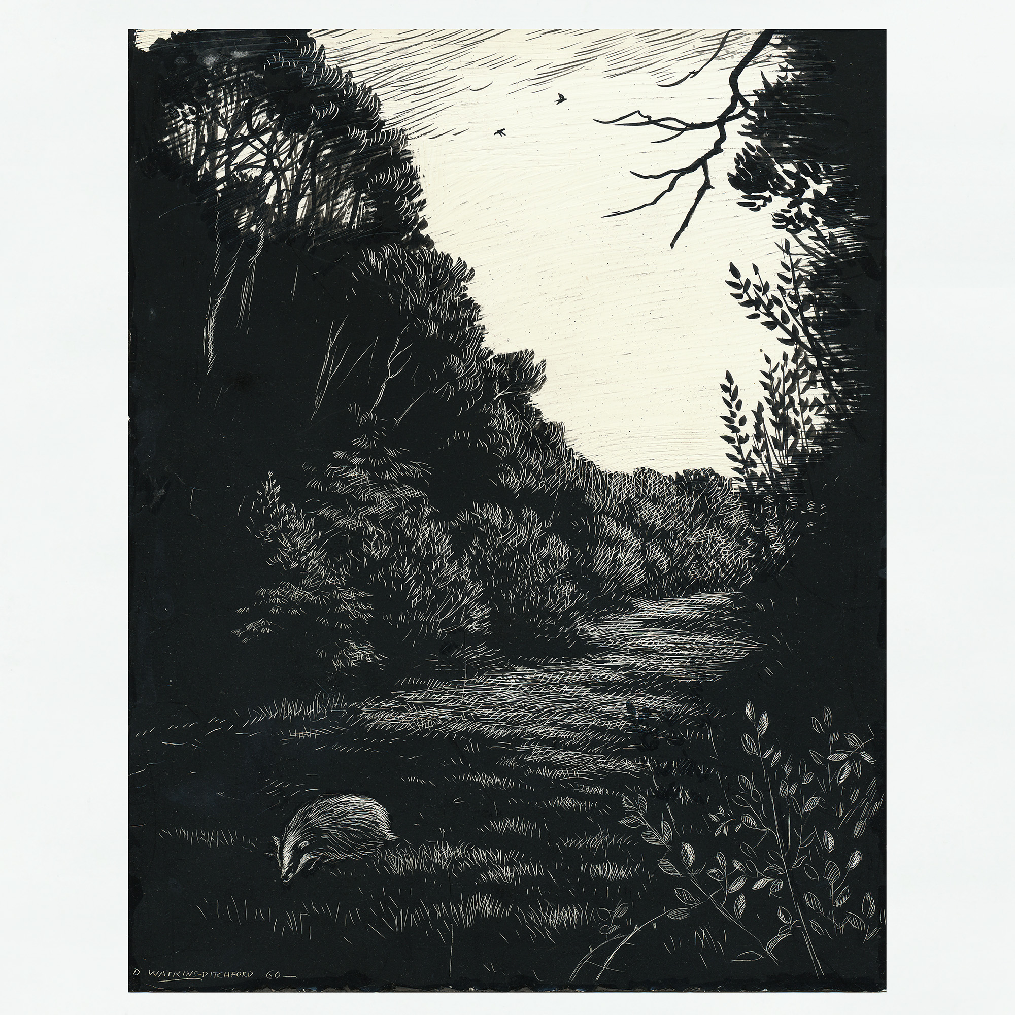 Signed Original Drawing: The Badgers of Bearshanks - , 