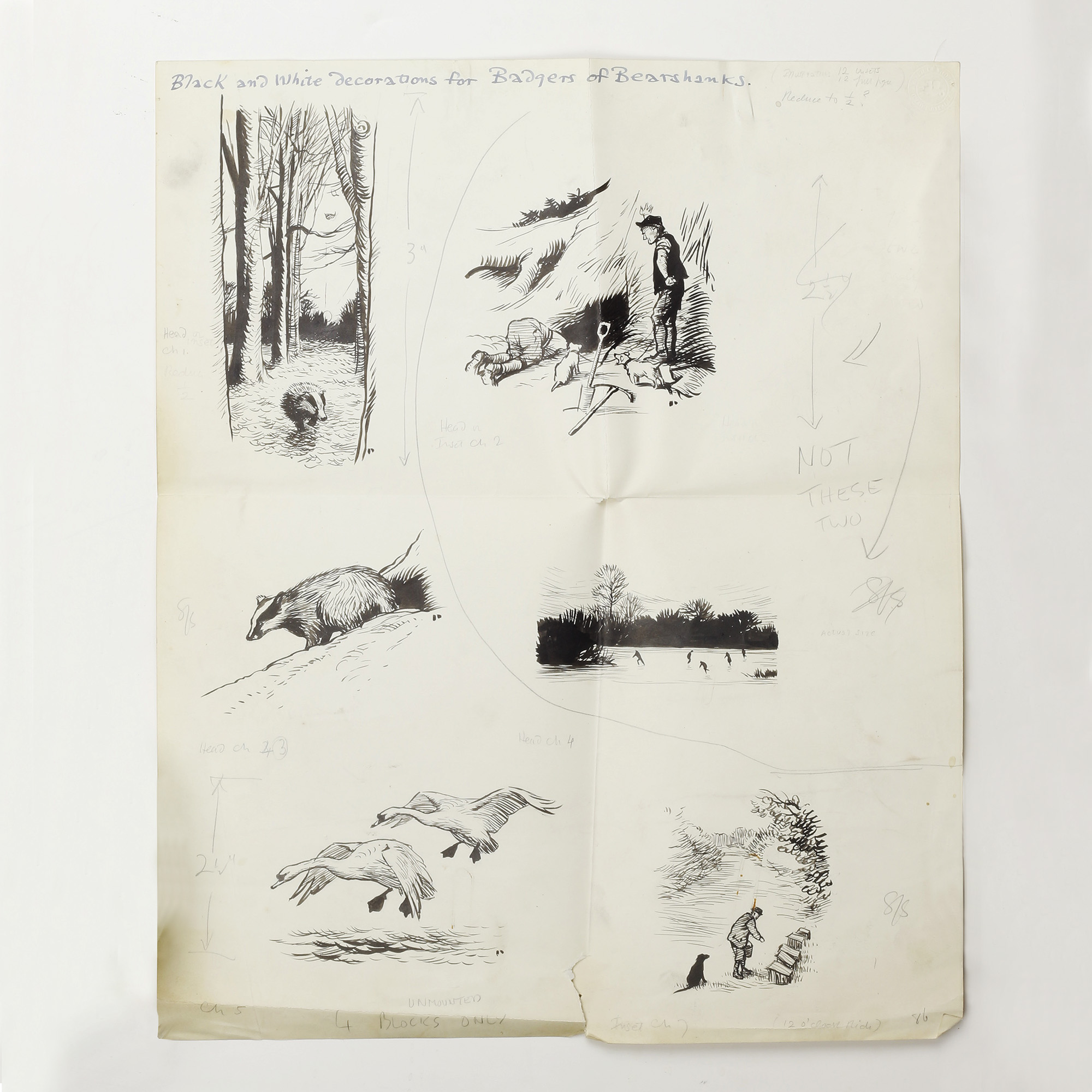 Original Drawings for the Badgers of Bearshanks - , 
