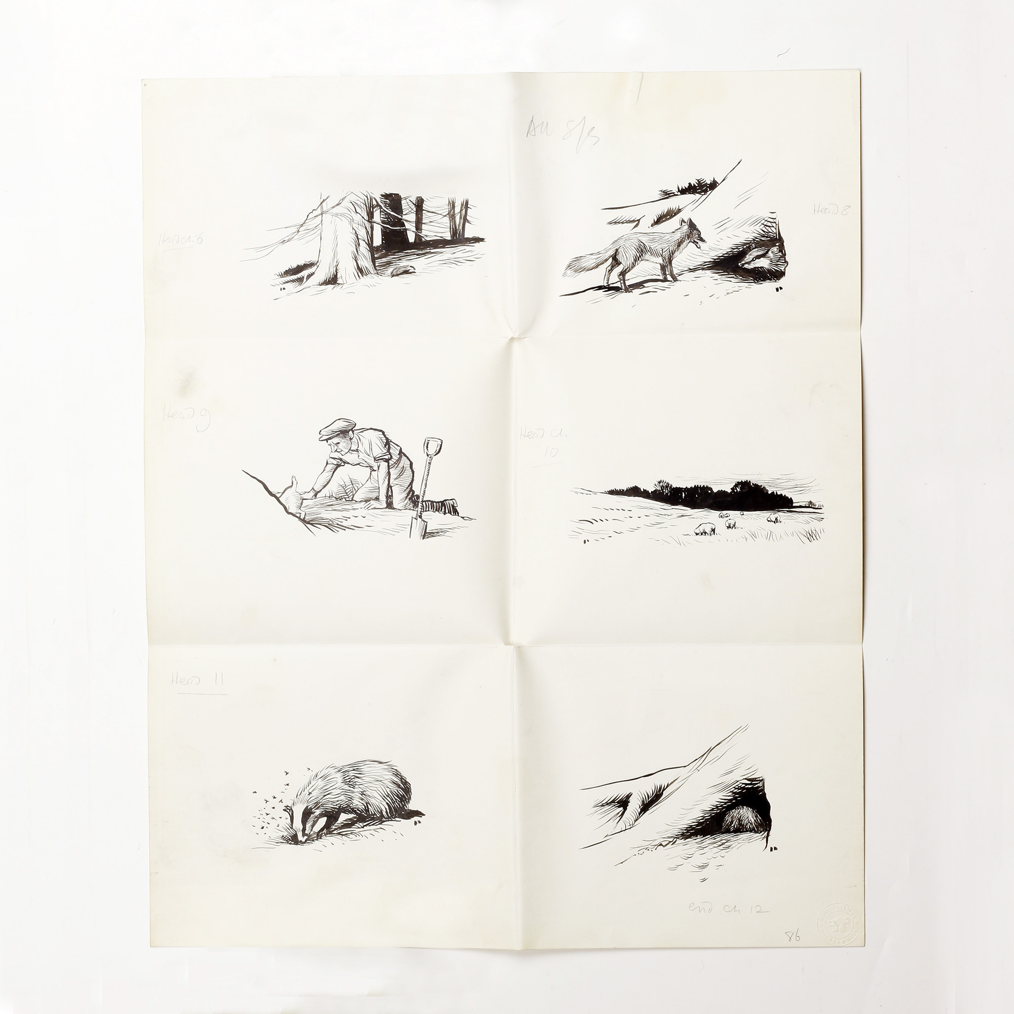 Original Drawings for the Badgers of Bearshanks - , 
