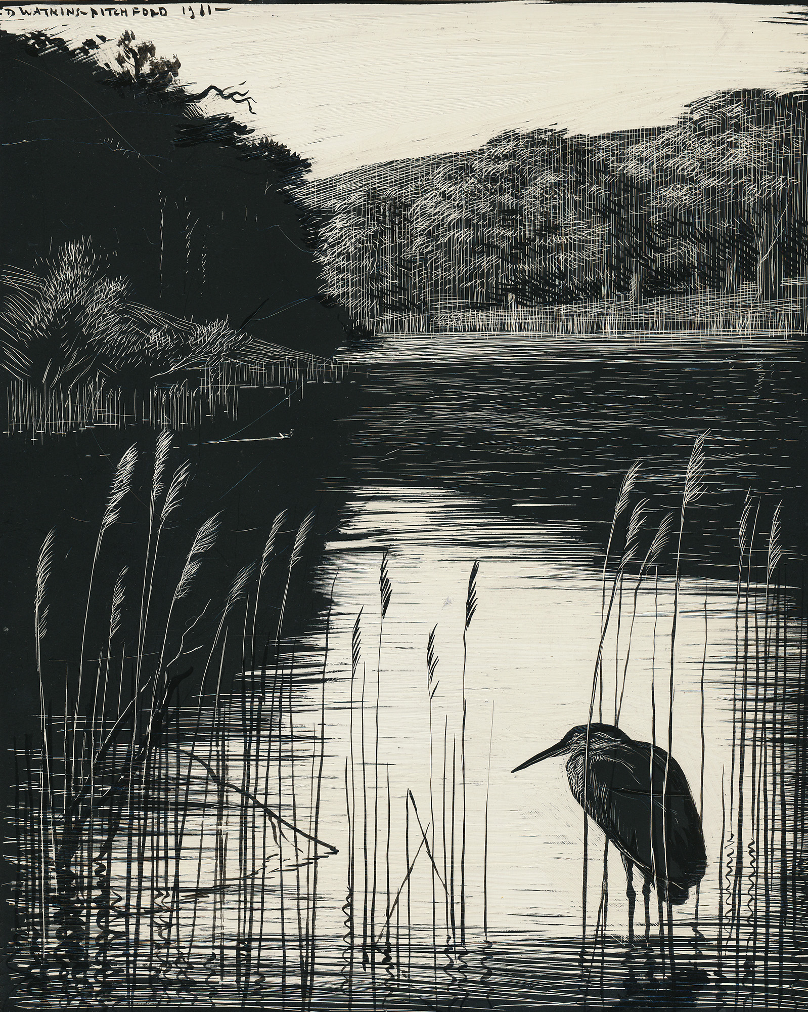 Signed Original Drawing: The Birds of the Lonely Lake - , 