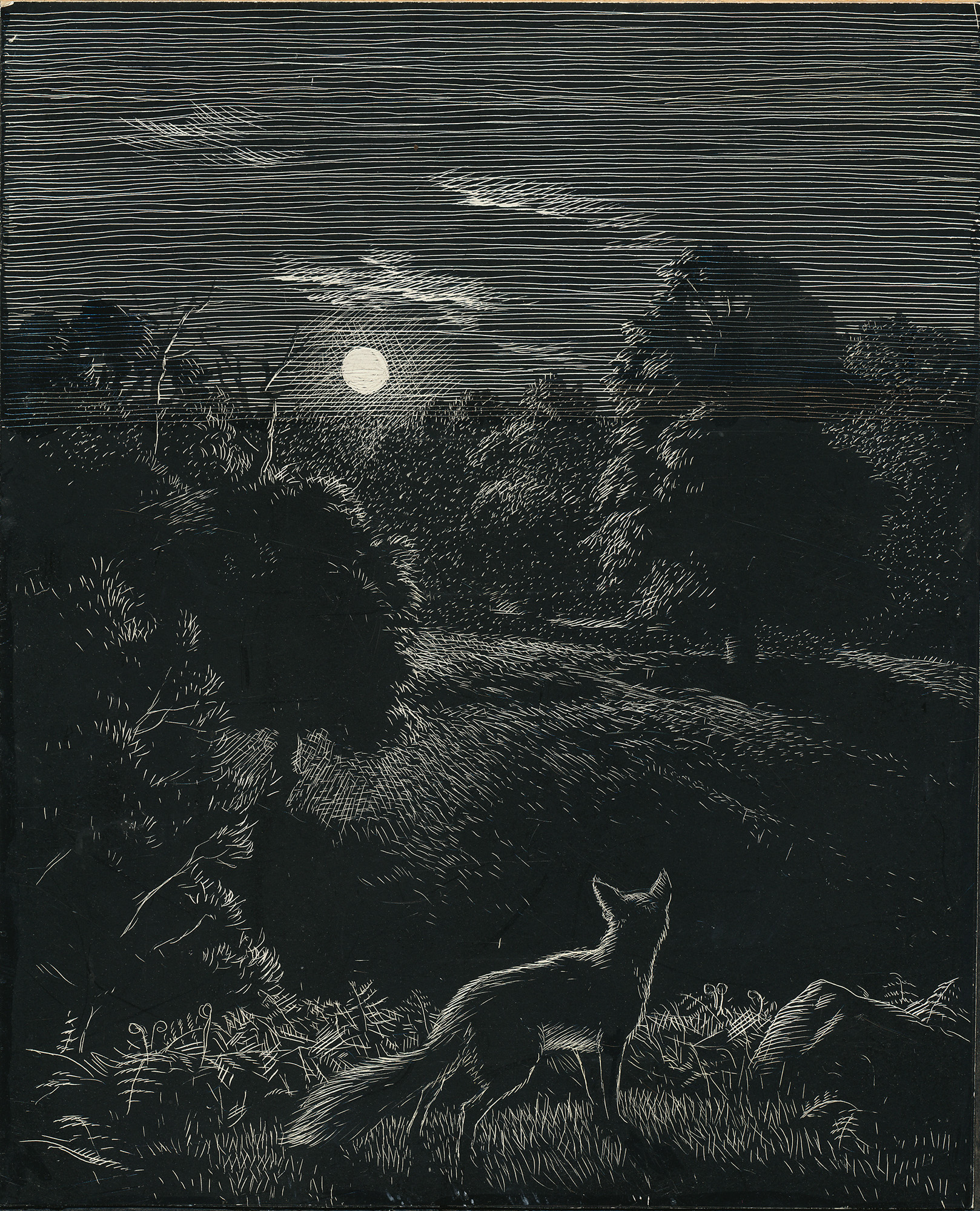 Original Drawing: Vix - the Story of a Fox Cub - , 