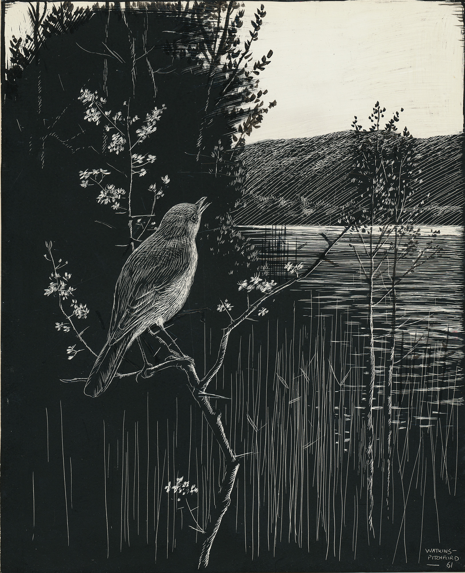 Signed Original Drawing: The Birds of the Lonely Lake - , 