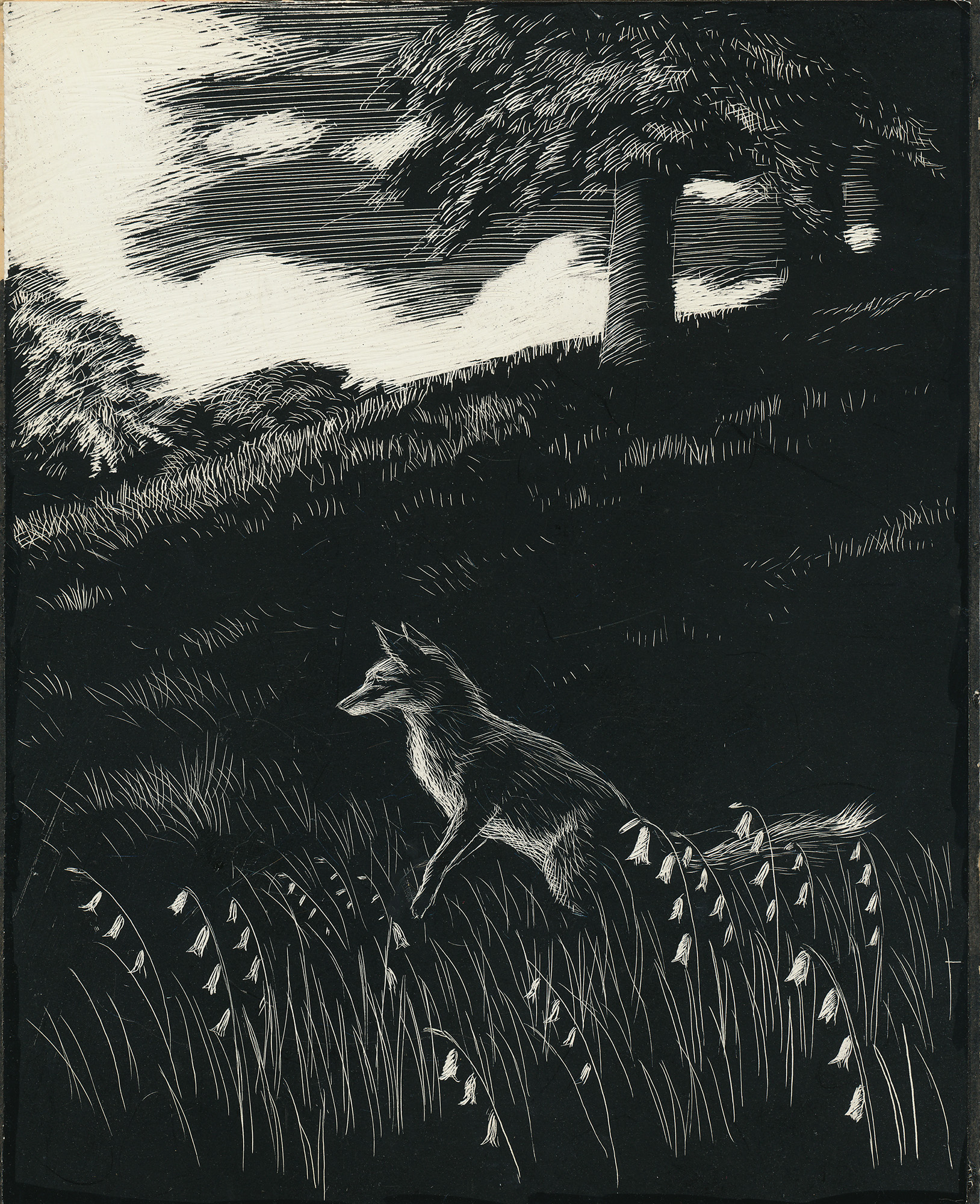 Original Drawing: Vix - the Story of a Fox Cub - , 