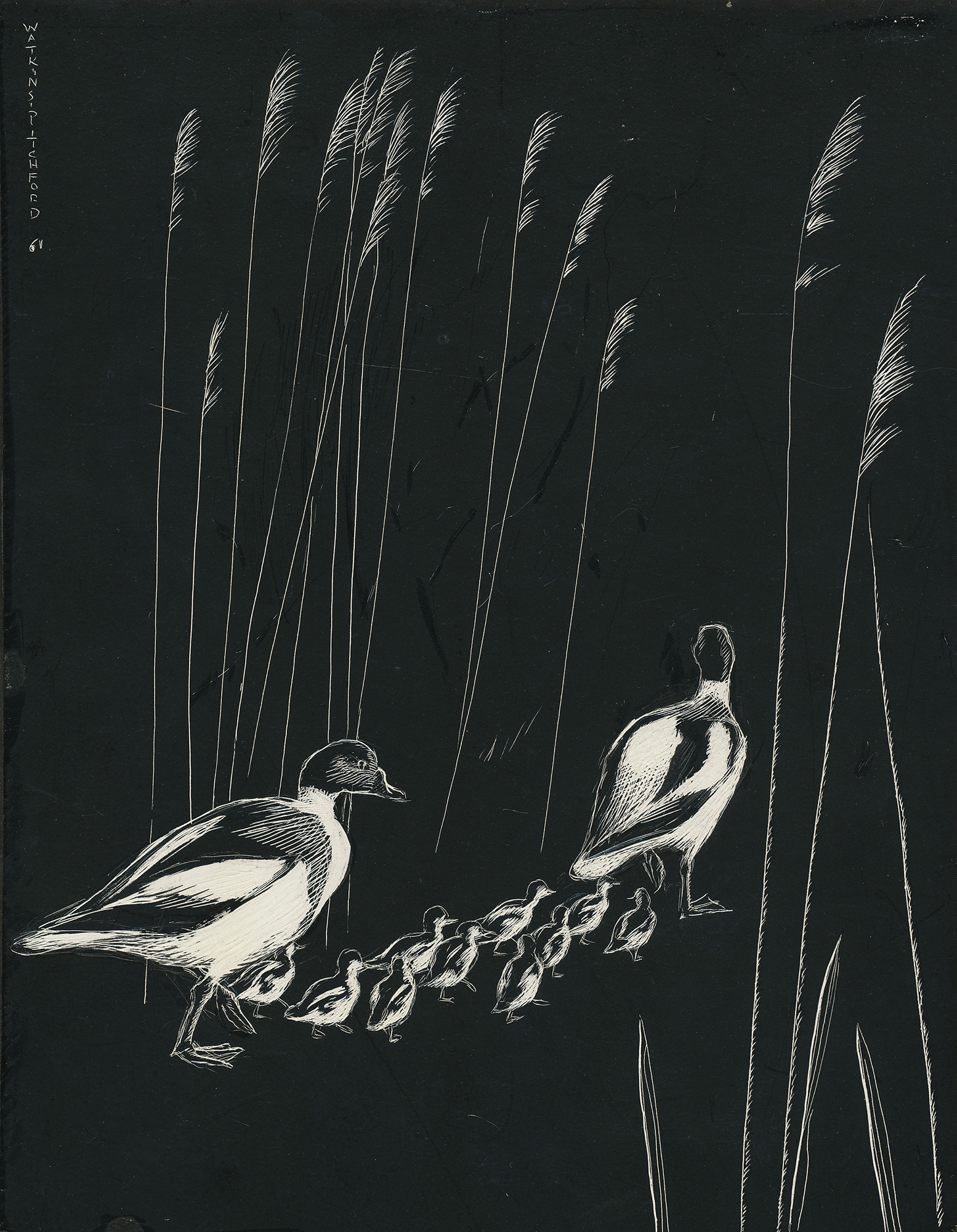 Signed Original Drawing: The Birds of the Lonely Lake - , 