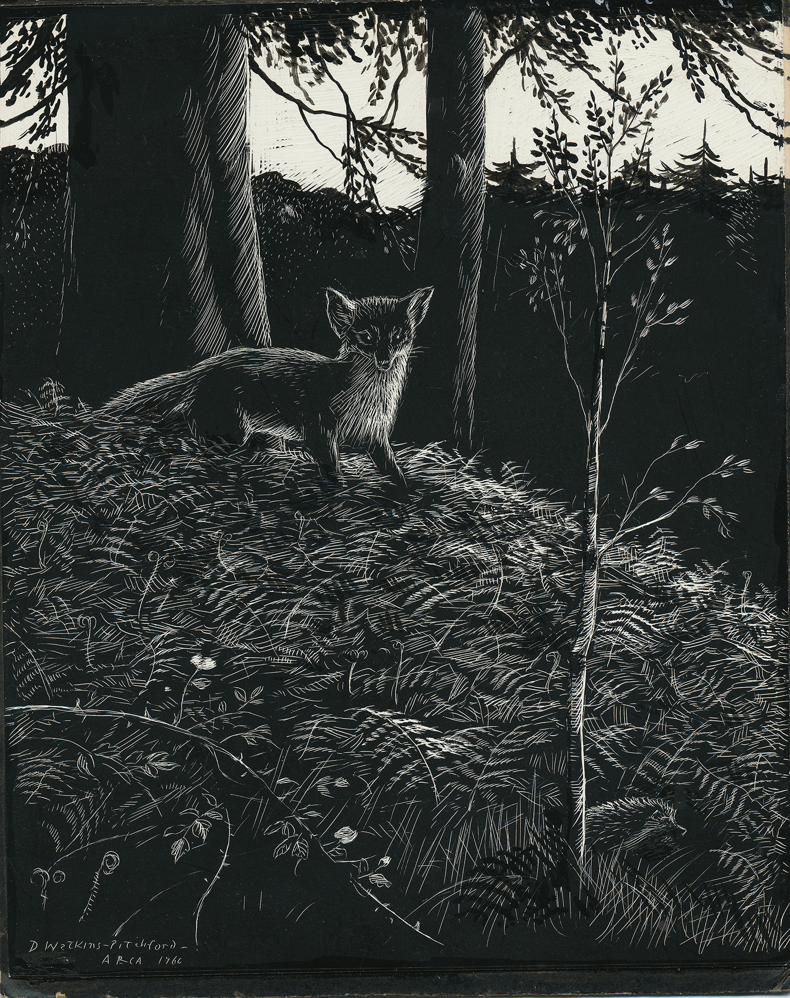 Signed Original Drawing: Vix - the Story of a Fox Cub - , 