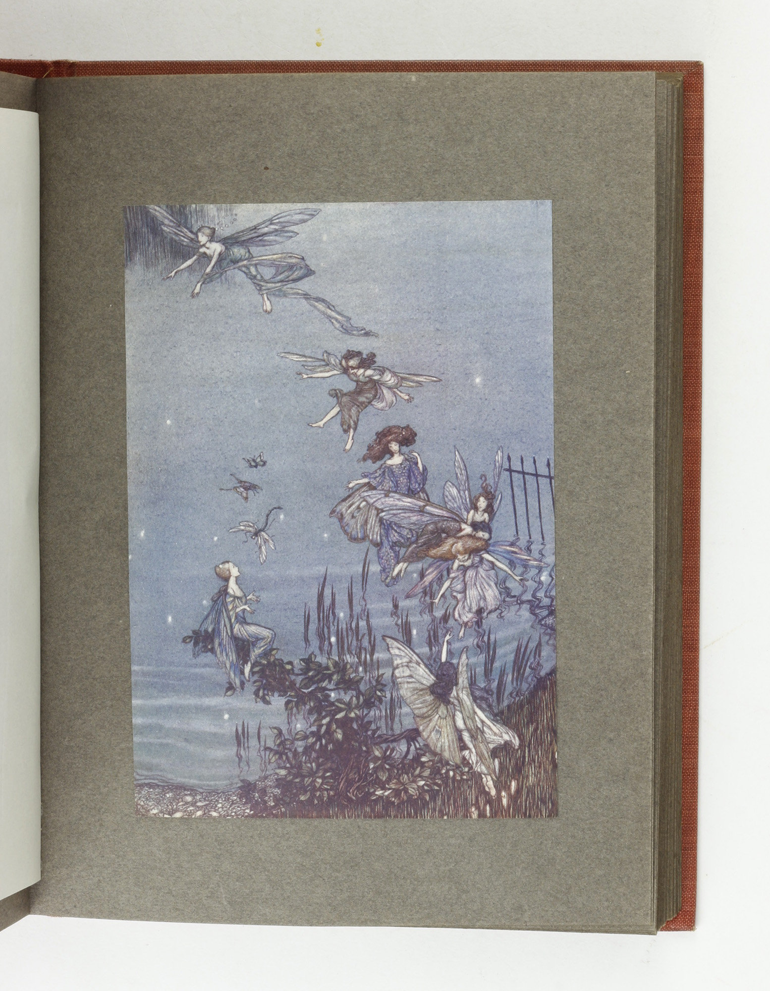Peter Pan in Kensington Gardens by RACKHAM, Arthur - Jonkers Rare Books