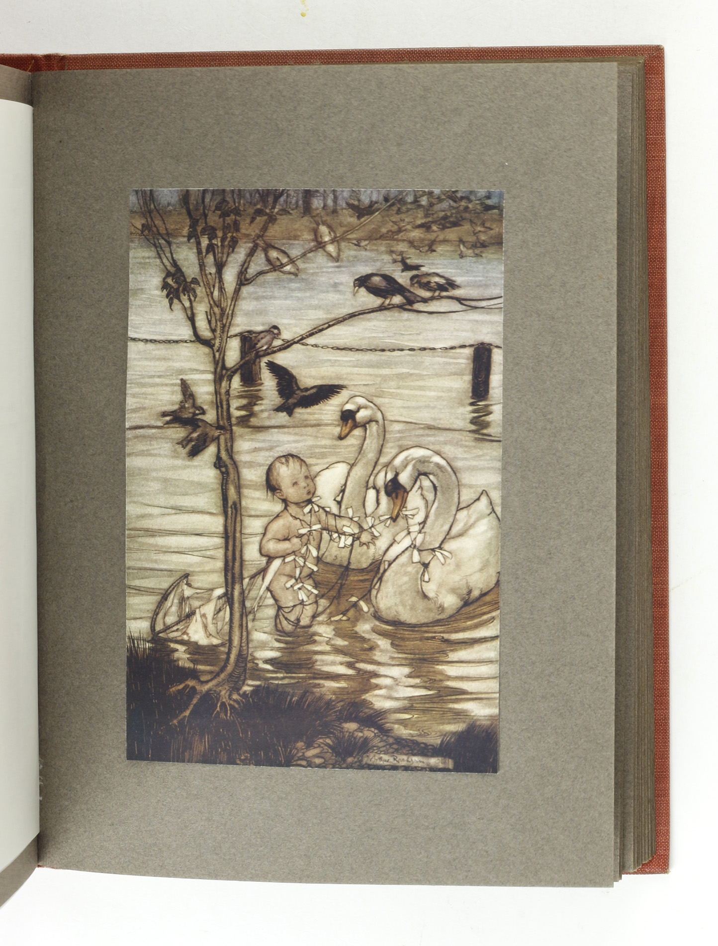 Peter Pan in Kensington Gardens by RACKHAM, Arthur - Jonkers Rare Books
