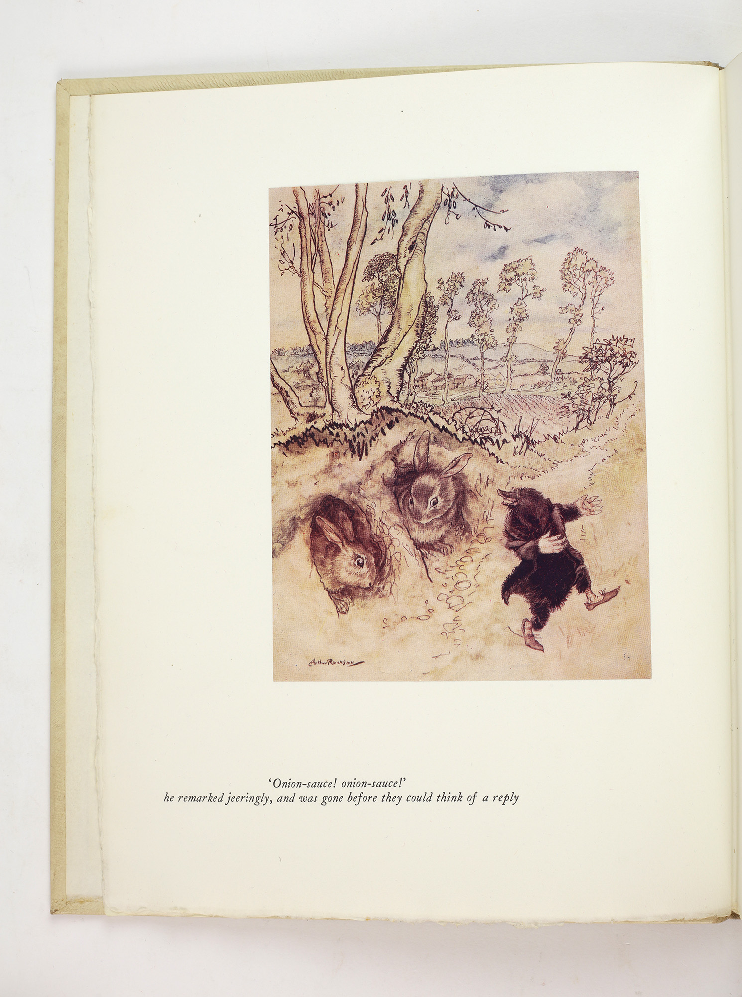 The Wind in the Willows by RACKHAM, Arthur - Jonkers Rare Books