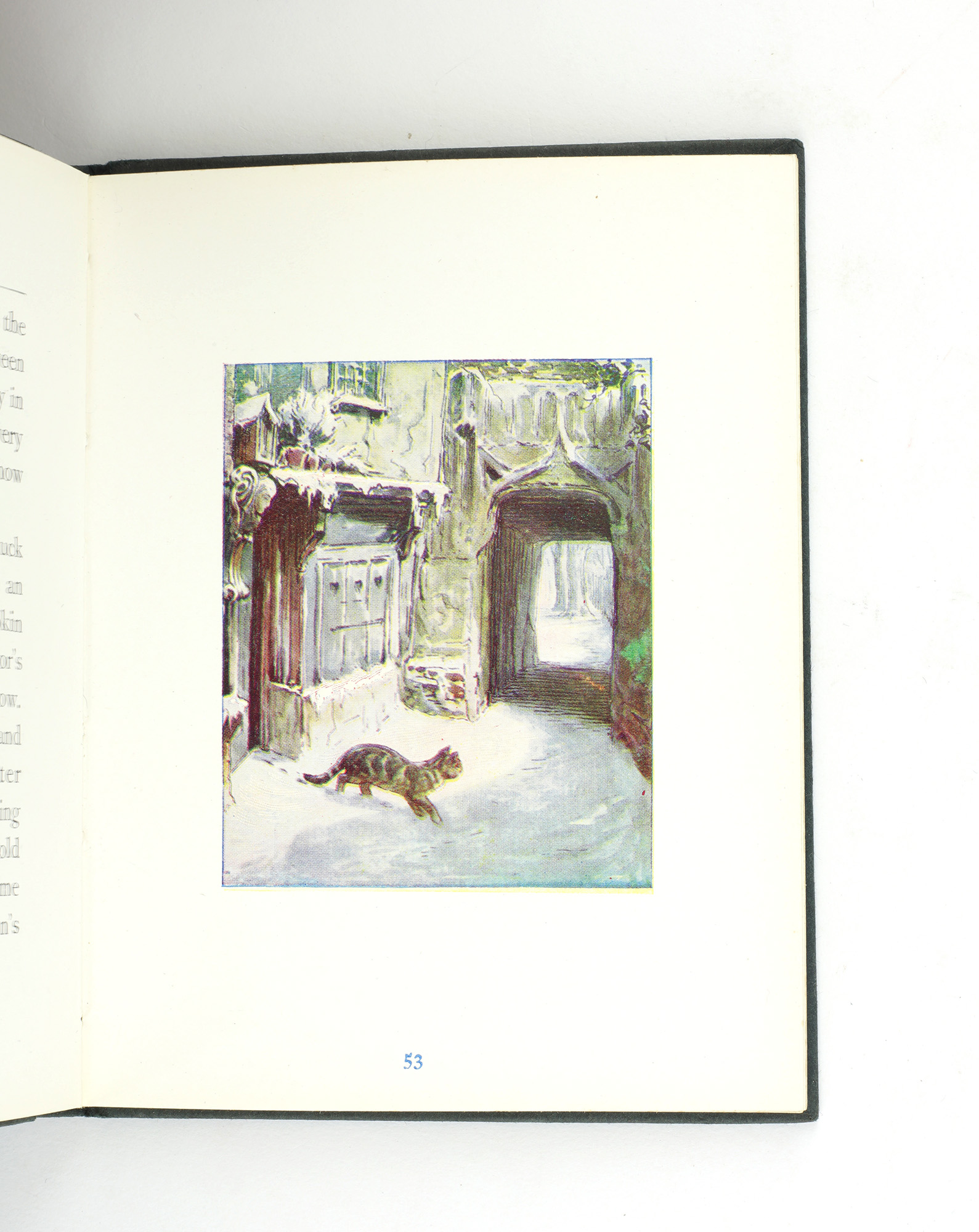 the tailor of gloucester book the tailor of gloucester book