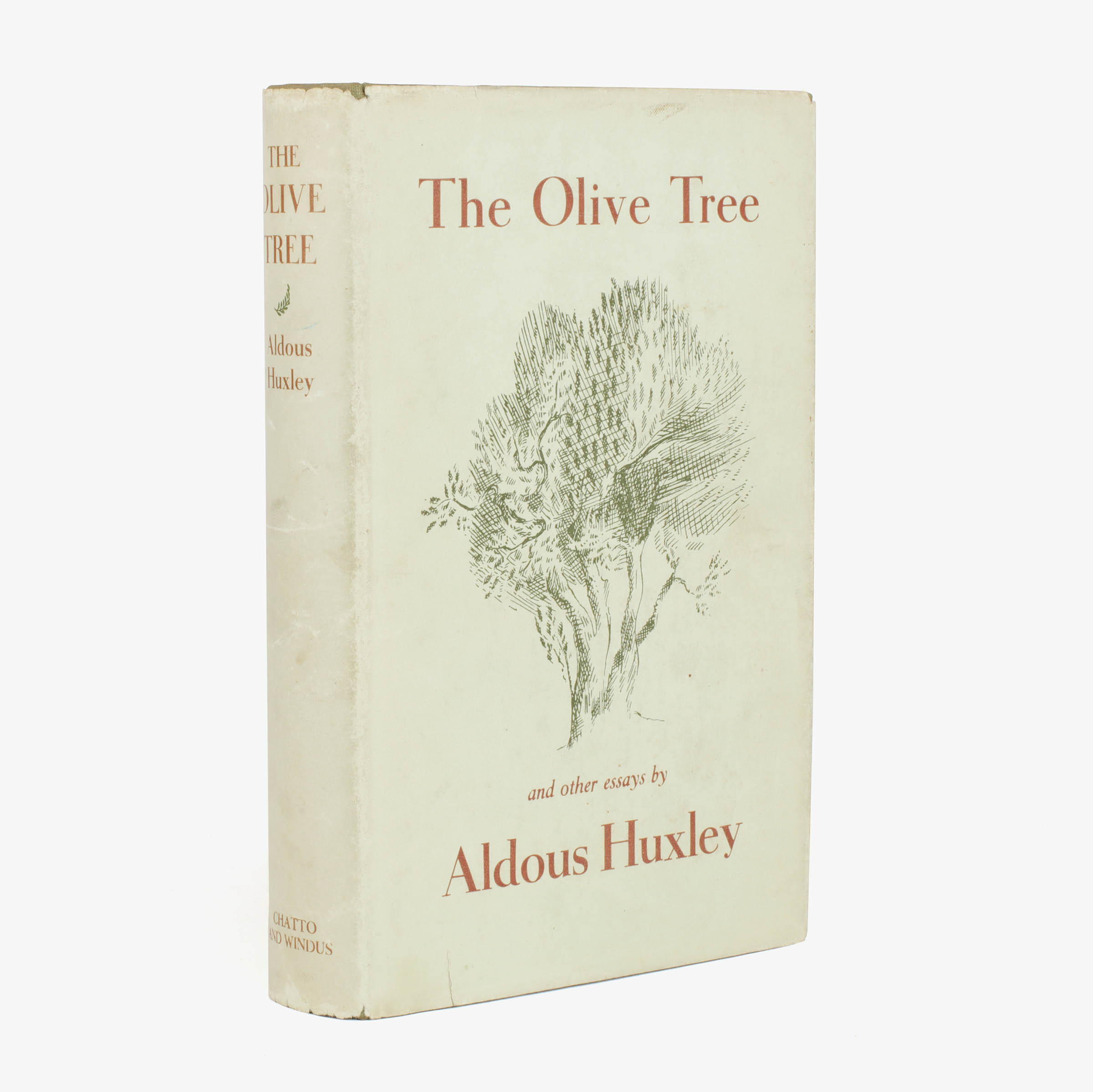 The Olive Tree - , 
