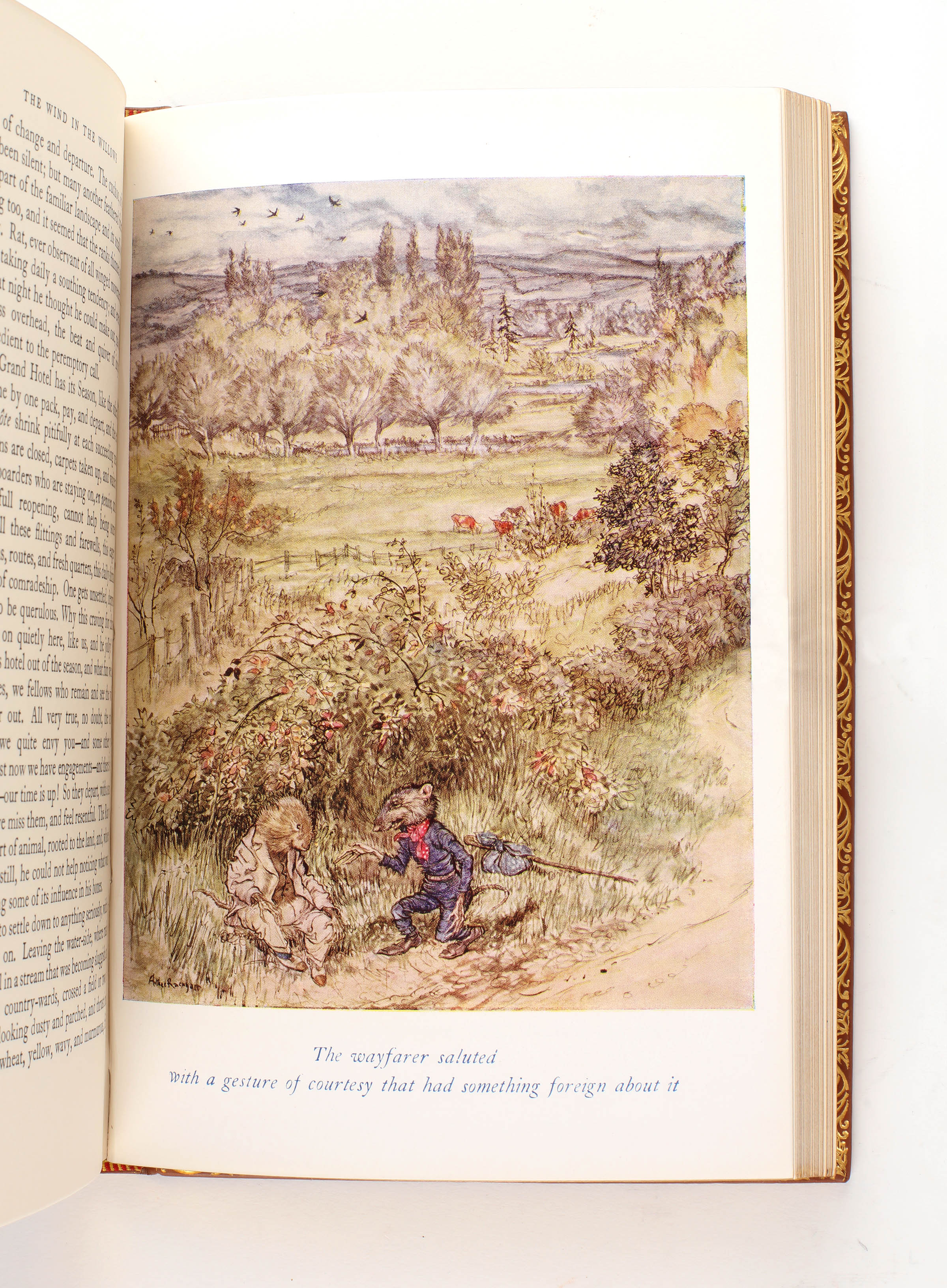 Kenneth Grham The Wind in the Willows by GRAHAME, Kenneth - Jonkers Rare Books