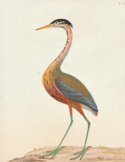 25603 plate1 3