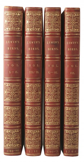 25603 spines2 3