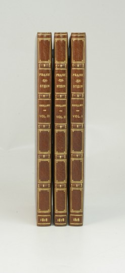 26541 spine bkgrd 3