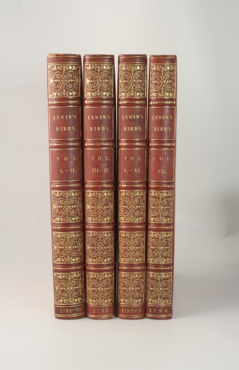 25603 spines bkgrd 3