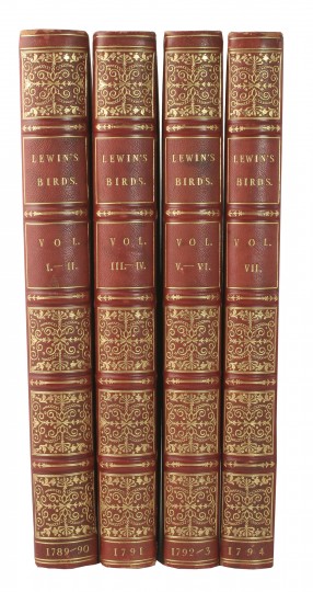 25603 spines 3