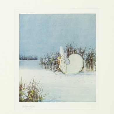 Fairyland Print - , 