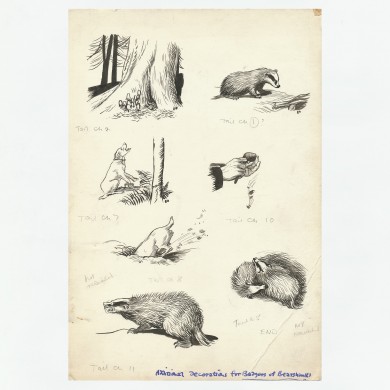 Original Drawings for the Badgers of Bearshanks - , 