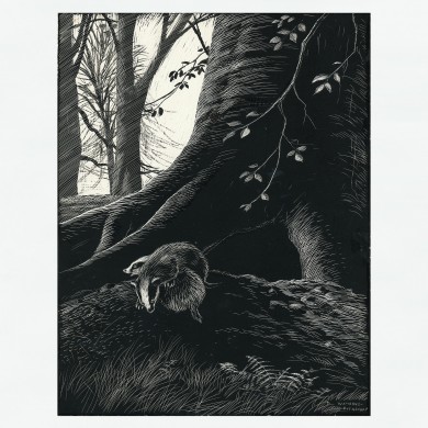 Signed Original Drawing: The Badgers of Bearshanks - , 
