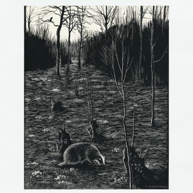 Signed Original Drawing: The Badgers of Bearshanks - , 