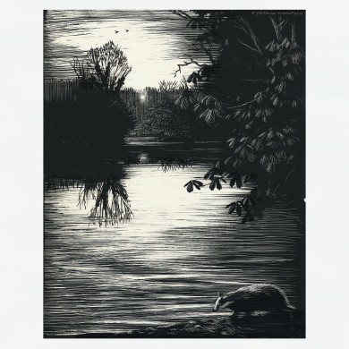 Signed Original Drawing: The Badgers of Bearshanks - , 