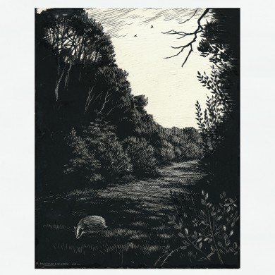 Signed Original Drawing: The Badgers of Bearshanks - , 