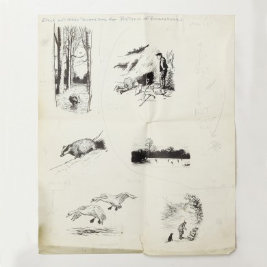 Original Drawings for the Badgers of Bearshanks - , 