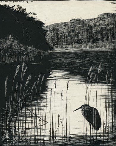 Signed Original Drawing: The Birds of the Lonely Lake - , 