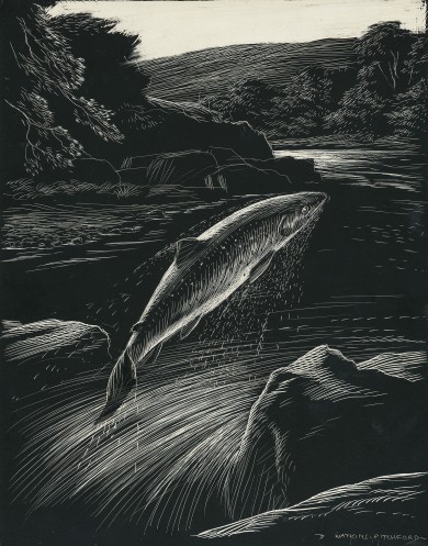Signed Original Drawing: The Birds of the Lonely Lake - , 