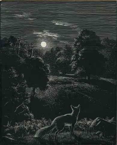 Original Drawing: Vix - the Story of a Fox Cub - , 