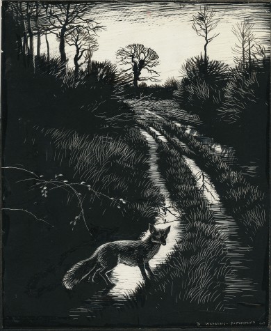 Signed Original Drawing: Vix - the Story of a Fox Cub - , 