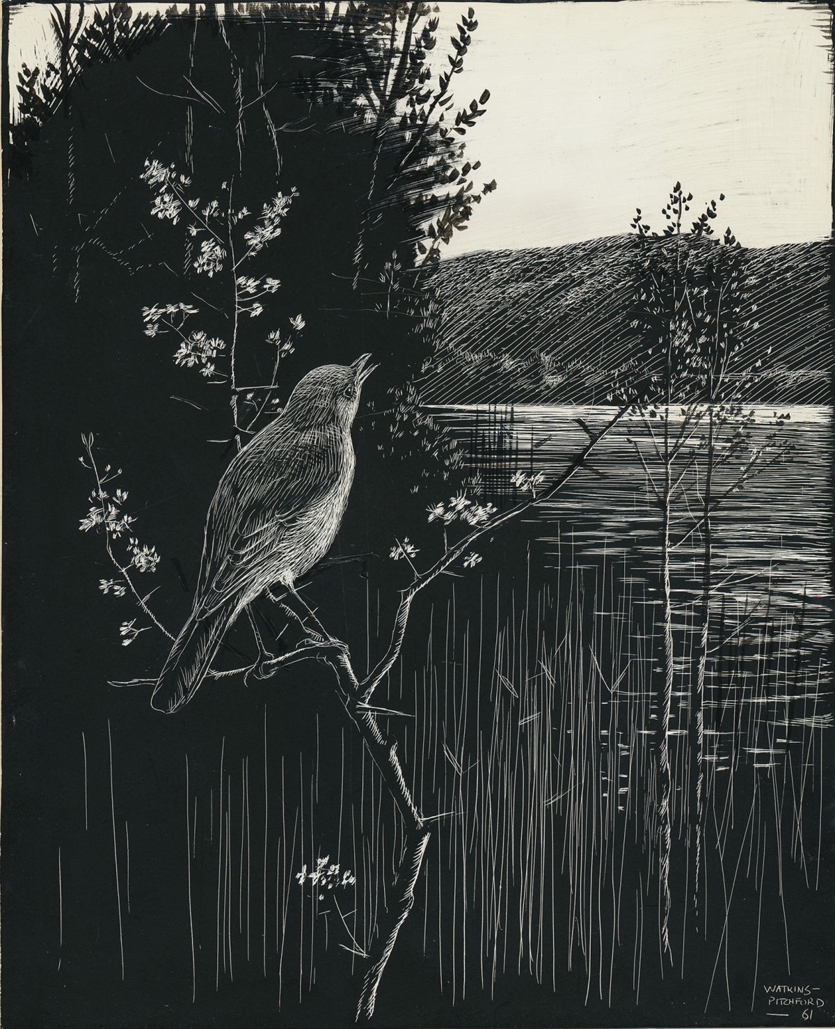 Signed Original Drawing: The Birds of the Lonely Lake by BB