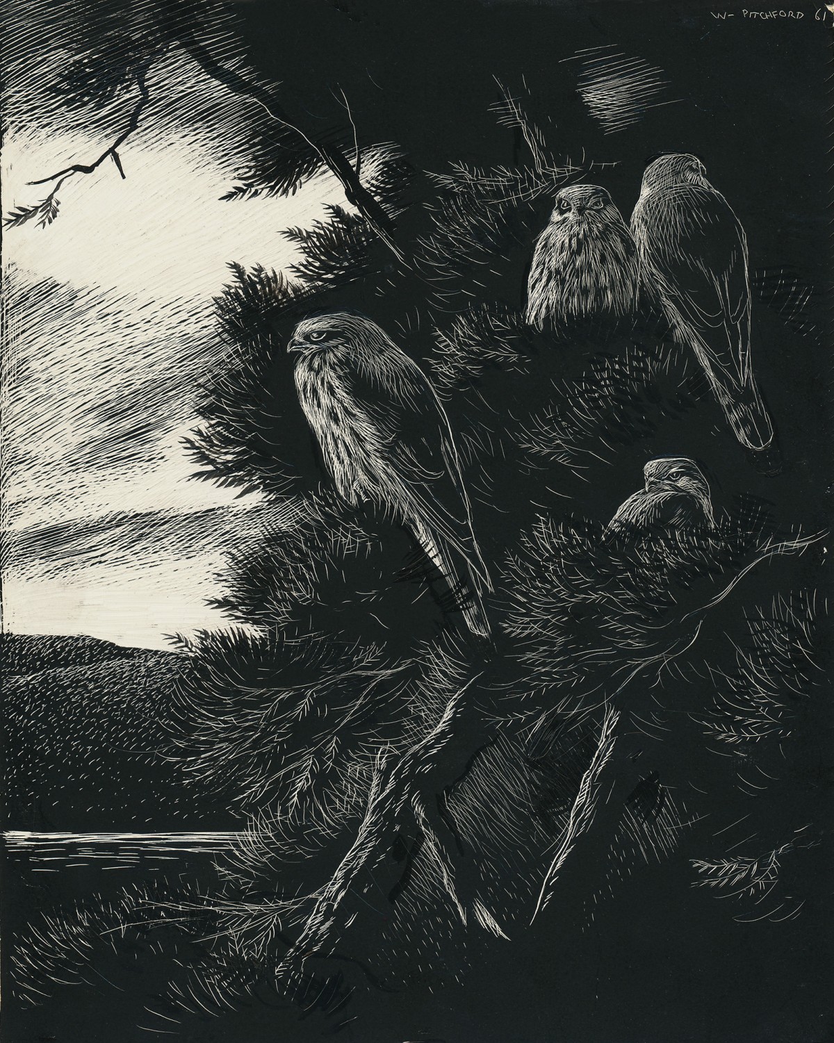 Signed Original Drawing: The Birds of the Lonely Lake by BB