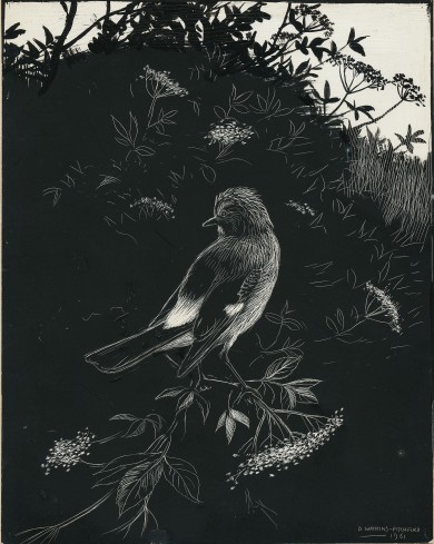 Signed Original Drawing: The Birds of the Lonely Lake - , 