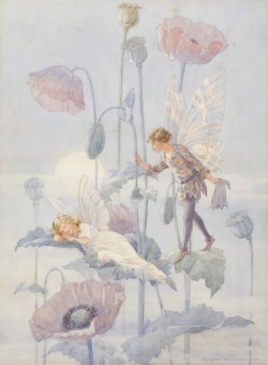 Fairies and Poppies - , 