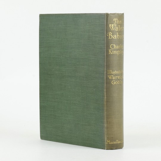 The Water Babies by GOBLE Warwick - Jonkers Rare Books The Water Babies by GOBLE Warwick - Jonkers Rare Books