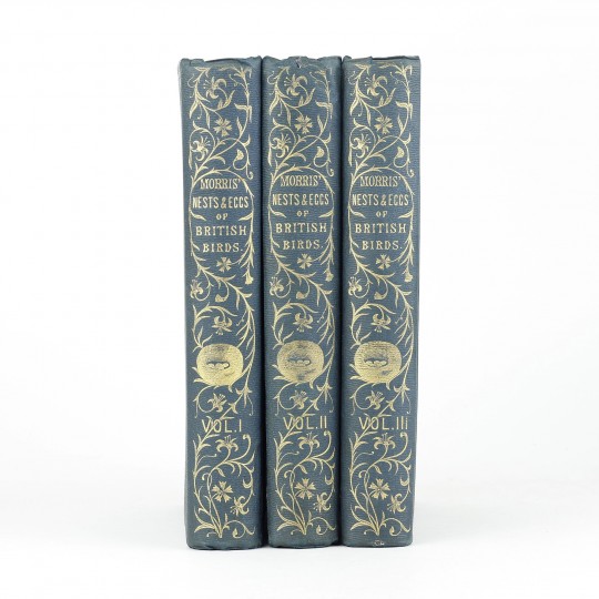 25589 bks 3
