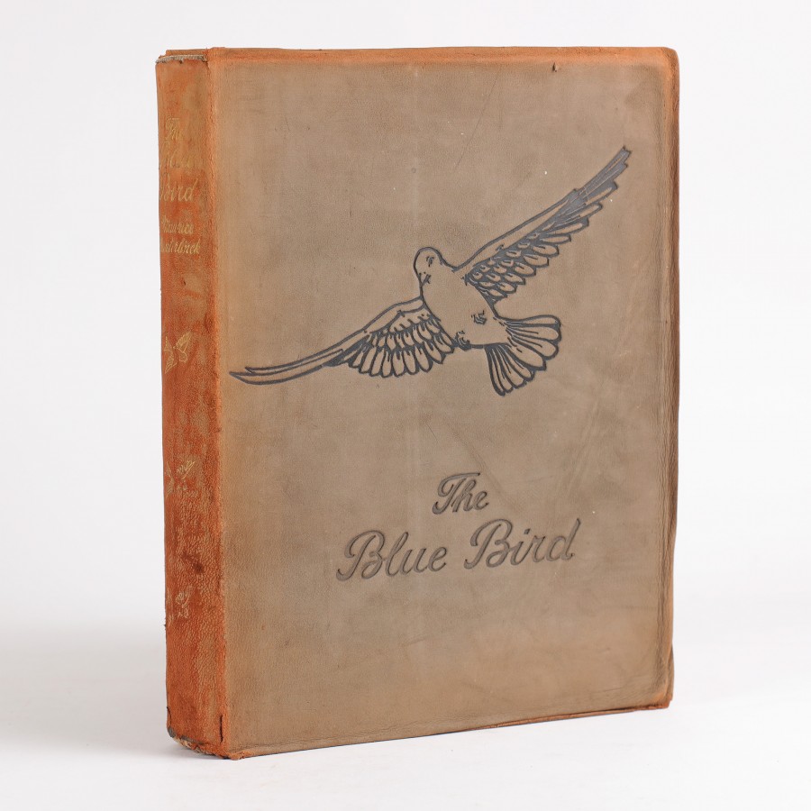 【青い鳥】F.ケイリー ロビンソン　挿絵本　挿画24点　1911年　米国初版 00074146-900x900.jpeg?v=1