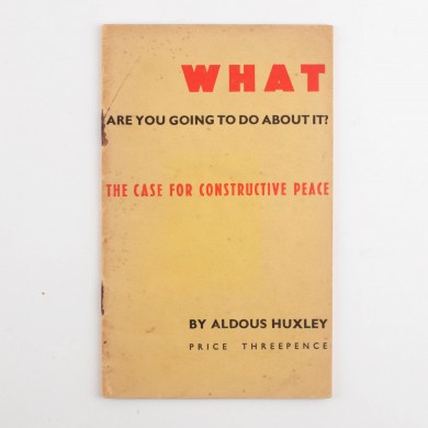 What Are You Going to Do About It - , 