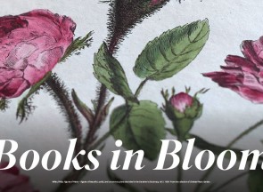 Firsts: London's Rare Book Fair